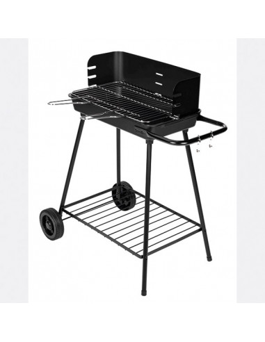 barbecue charbon de bois lugano