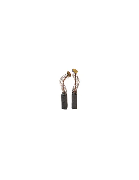 Jeu de 2 charbons adaptable pour LEGNA. Dimensions:5 x 5 x 15mm.