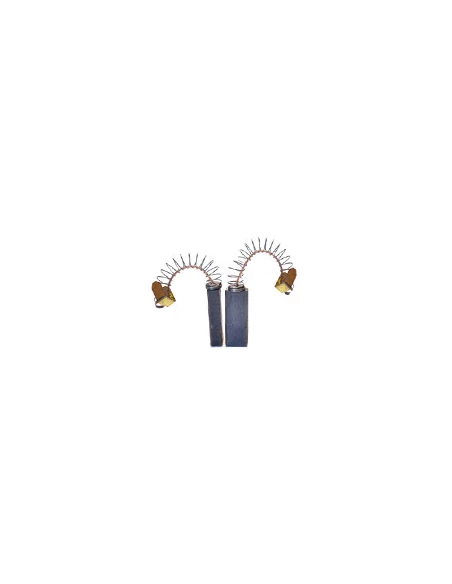 Jeu de 2 charbons adaptable pour GHIBLI. Dimensions: 6.4 x 11.5 x 30mm.