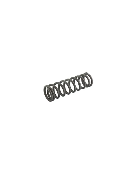 Ressort de rechange pour notre tête fil nylon TAP-N-Go 1602149, 1602150.