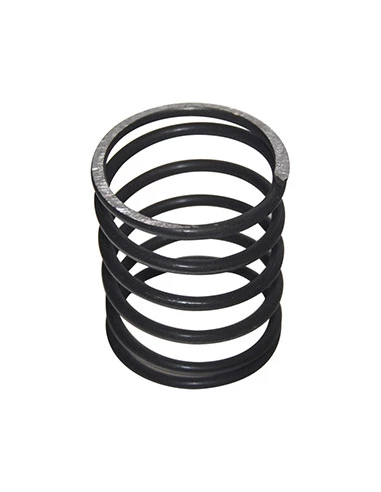 Ressort de rechange pour notre tête fil nylon TAP-N-GO 1600912