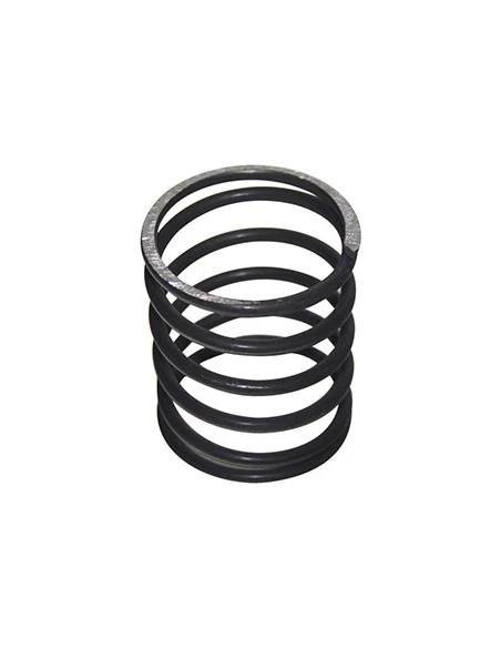 Ressort de rechange pour notre tête fil nylon TAP-N-GO 1600912