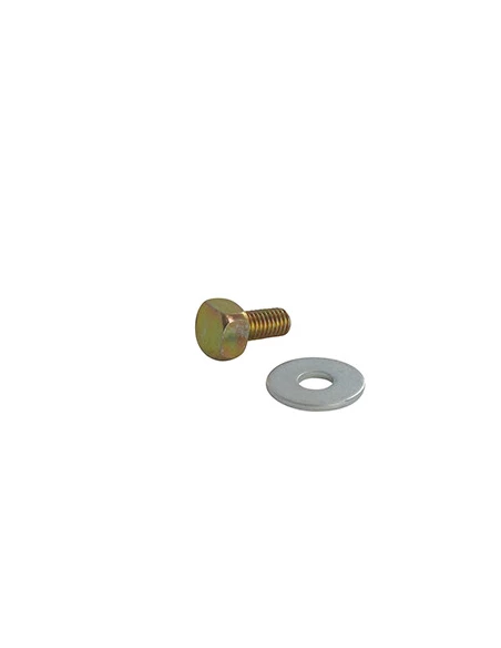 Vis et rondelle de rechange pour notre tête automatique ARNETOLI MOTOR 160-2056