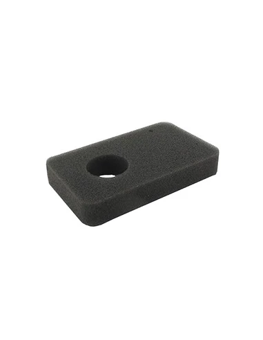 Filtre à air adaptable pour ATCO modèles BALMORAL 14S, 14SE, 17S, 17SE, 20S, 20SE. Remplace origine: F016L35939, L35939.