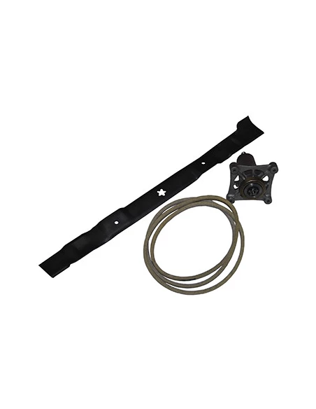 Kit réparation lames AYP pour éjection arrière 77 cm composé de: 1 lame, 1 courroie, 1 palier de lame