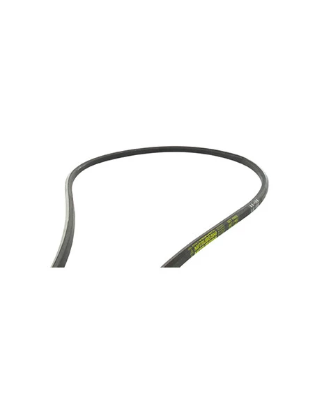 Courroie lisse hexagonale MITSUBOSHI série AA L.ext: 2159mm. (754-0270, 7540270)
