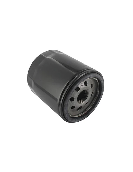 Filtre carburant adaptable KUBOTA pour modèles L185, L185DT, L225, L225DT, L245, L245DT, L245H, L245HC. Remplace origine: 70000-