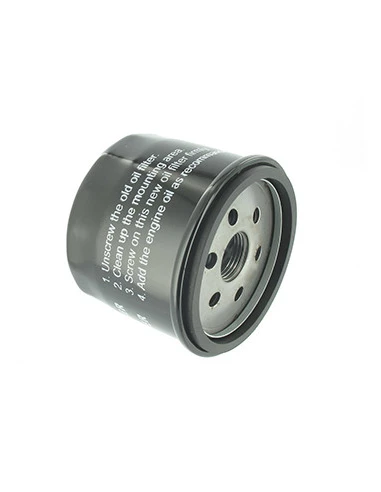 Filtre à huile adaptable pour BRIGGS & STRATTON: Vanguard 14 & 18 ch, INTEK 15 à 17 ch (25 / 30 microns) version courte - TECUMS