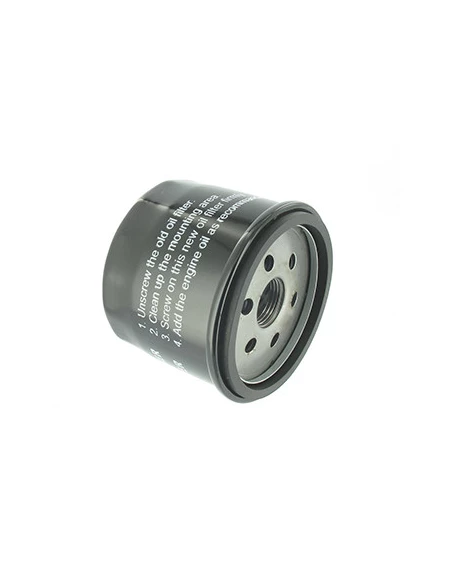 Filtre à huile adaptable pour BRIGGS & STRATTON: Vanguard 14 & 18 ch, INTEK 15 à 17 ch (25 / 30 microns) version courte - TECUMS