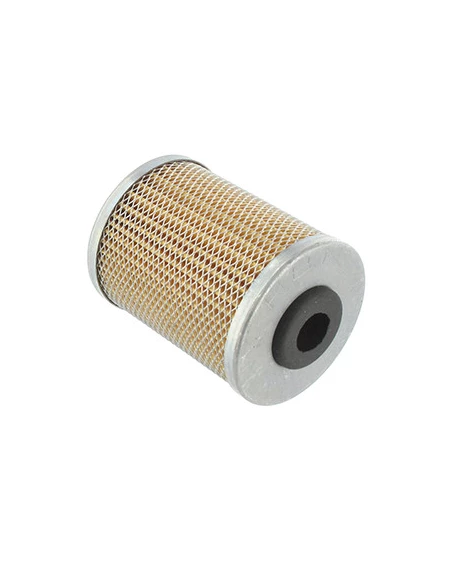 Filtre diesel adaptable pour RUGGERINI modèles MC70, MC71 ,MC90, MC91, MD75.1, MD95.0, MD75.1 , MD95.1, MD150, MD151, MD170, MD1