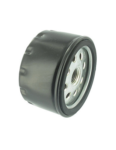 Filtre diesel adaptable RUGGERINI pour modèles MD150, MD151, MD170, MD171, MD190, MD191 - H: 50mm Ø int: 78mm. Remplace origine