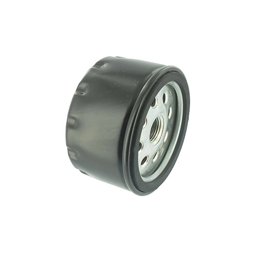 Filtre diesel adaptable RUGGERINI pour modèles MD150, MD151, MD170, MD171, MD190, MD191 - H: 50mm Ø int: 78mm. Remplace origine