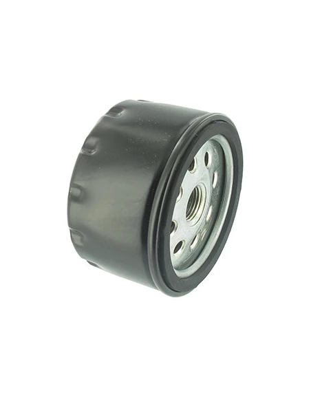 Filtre diesel adaptable RUGGERINI pour modèles MD150, MD151, MD170, MD171, MD190, MD191 - H: 50mm Ø int: 78mm. Remplace origine