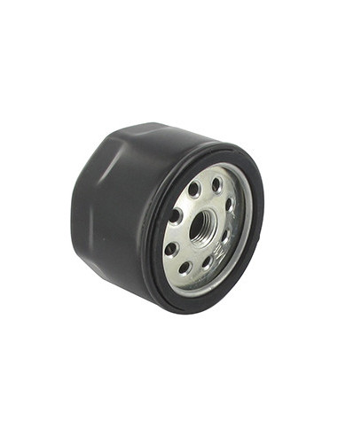 Filtre diesel adaptable pour RUGGERINI - H: 55mm - Ø: 77mm. Remplace origine: 175-23