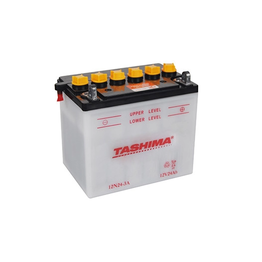 Batterie plomb TASHIMA 12V, 24A . L: 184, l: 124, H:175mm, + à droite pour tondeuse autoportée, moto