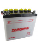 Batterie plomb TASHIMA 12V