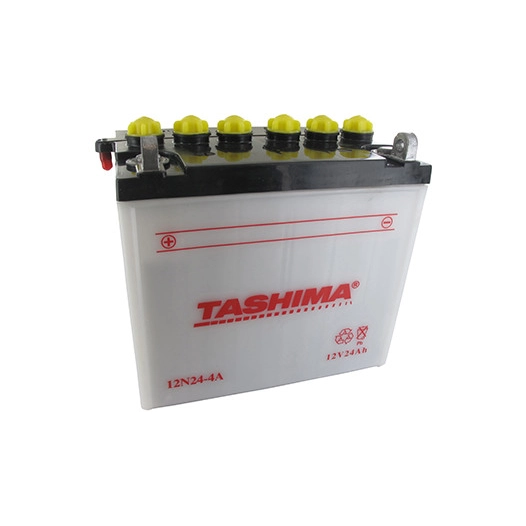 Batterie plomb TASHIMA 12V, 24A L: 184, l: 124, H:175mm, + à gauche pour tondeuse autoportée. (livrée avec acide séparé). - Batt