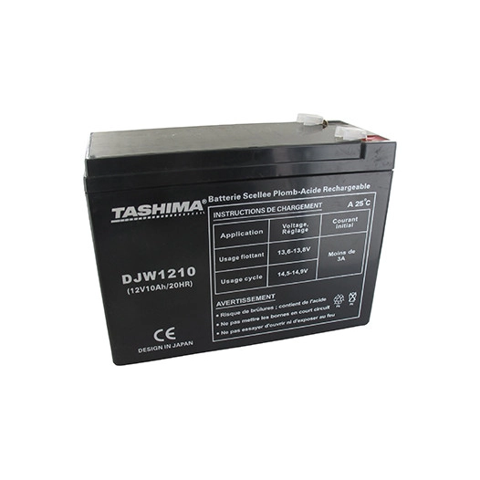 Batterie motoculture TASHIMA 12V, 10A adaptable pour ECOMOWER. L: 151, l: 63, H:110mm, + à gauche 100% étanche. - Batterie à met