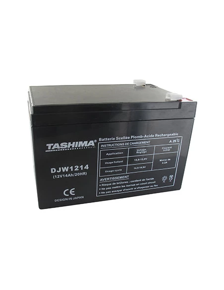 Batterie motoculture TASHIMA 12V, 14A adaptable pour ECOMOWER. L: 151, l: 98, H:94mm, + à gauche 100% étanche. - Batterie à mett
