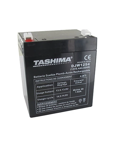 Batterie motoculture TASHIMA 12V, 5,4A adaptable pour CASTELGARDEN, FLYMO et SABO. L: 89, l: 69, H:104mm, + à gauche 100% étanch