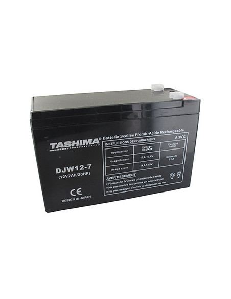 Batterie TASHIMA gel/agm 12V, 7,2A adaptable pour CASTELGARDEN, FLYMO, ROVER et WOLF pour Lampe torche rechargeables, alarmes. L