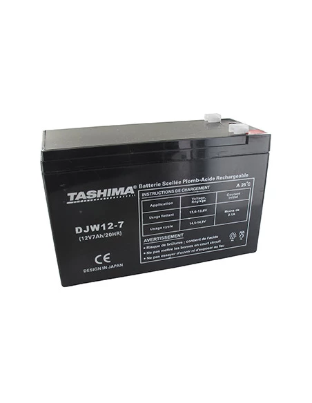 Batterie TASHIMA gel/agm 12V, 7,2A adaptable pour CASTELGARDEN, FLYMO, ROVER et WOLF pour Lampe torche rechargeables, alarmes. L