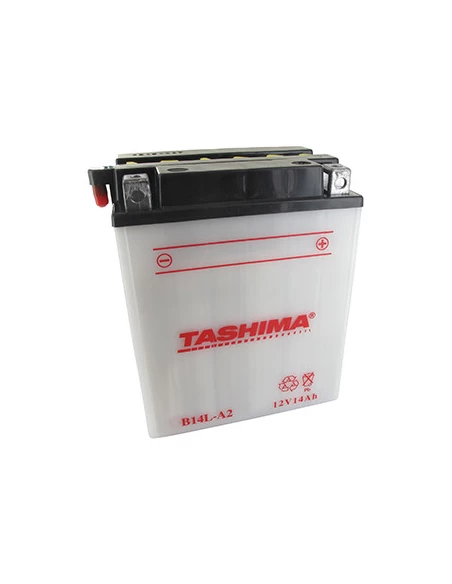 Batterie plomb TASHIMA renforcée 12V, 14A. L: 134, l: 89, H:166mm, + à droite pour scooter, motos, jet-ski, motoneige, quads. (l
