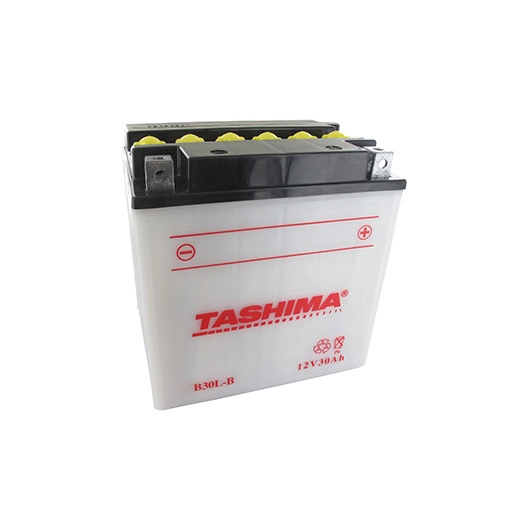 Batterie plomb TASHIMA renforcée 12V, 30A . L: 168, l: 132, H: 176mm, + à droite pour motos, quads, utilitaire. (livrée avec aci