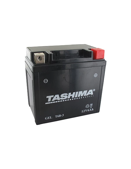 Batterie plomb étanche 12V gel/agm, 6A. L: 110,l: 70, H: 108mm, + à droite. - Batterie à mettre en acide avant d'être délivrée à