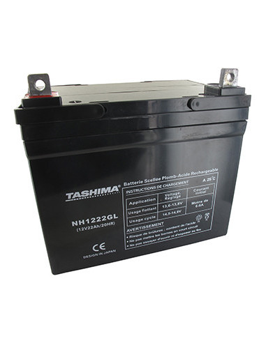 Batterie TASHIMA gel/agm 100% étanche 12V, 22A pour autoportée. L: 195,l: 130, h: 180, + à gauche. - Batterie à mettre en acide