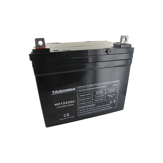 Batterie TASHIMA gel/agm 100% étanche 12V, 22A pour autoportée. L: 195,l: 130, h: 180, + à gauche. - Batterie à mettre en acide