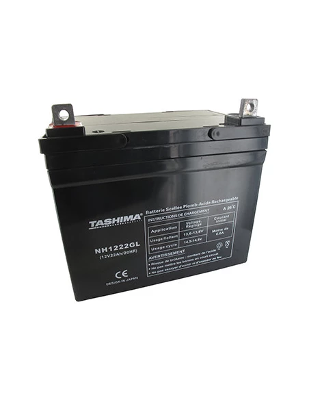 Batterie TASHIMA gel/agm 100% étanche 12V, 22A pour autoportée. L: 195,l: 130, h: 180, + à gauche. - Batterie à mettre en acide