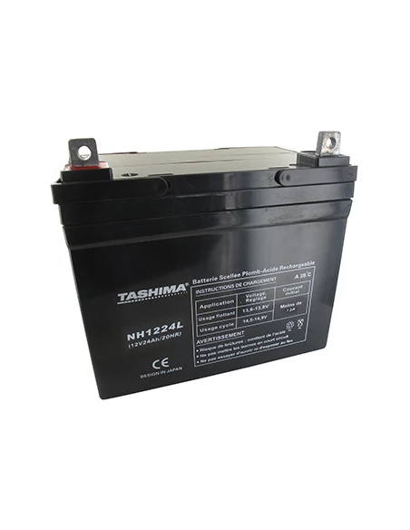 Batterie TASHIMA agm 100% étanche 12V, 24A pour autoportée. L: 195, l: 130, h: 180, + à gauche. - Batterie à mettre en acide ava