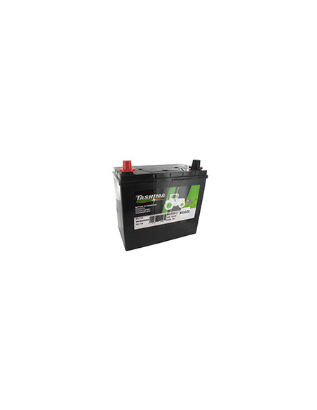 Batterie plomb TASHIMA Pb Ca/Ca, sans entretien, pour tondeuse autoportée 12V, 45A. L: 235, l: 128, H:225mm, + à gauche avec bor