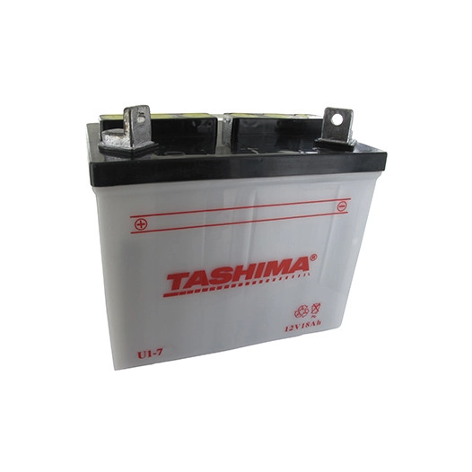 Batterie plomb TASHIMA pour tondeuse autoportée 12V, 18A. L: 195, l: 130 H:185mm, + à gauche. (livrée sans acide). - Batterie à