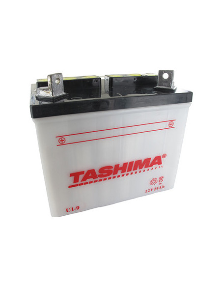 Batterie plomb TASHIMA pour tondeuse autoportée 12V, 24A. L: 195, l: 130, H:185mm, + à gauche. (livrée sans acide). (U19) - Batt
