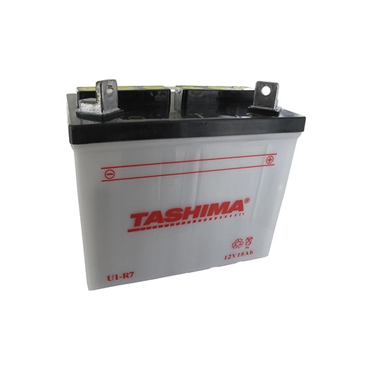 Batterie plomb TASHIMA pour tondeuse autoportée 12V, 18A. L: 195, l: 130, H:185mm, + à droite. (livrée sans acide). - Batterie à