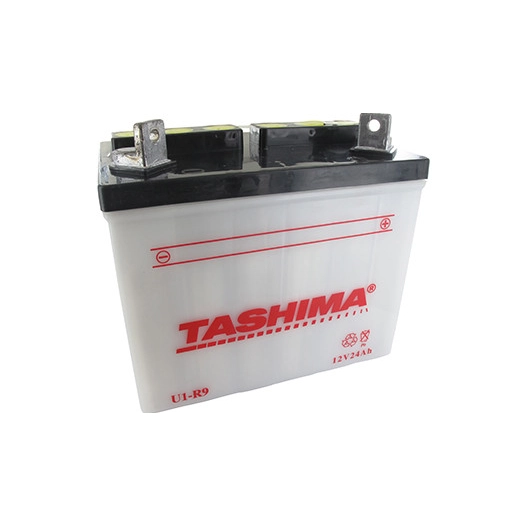 Batterie plomb TASHIMA pour tondeuse autoportée 12V, 24A. L: 195, l: 130, H:185mm, + à droite. (livrée sans acide).(U19) - Batte