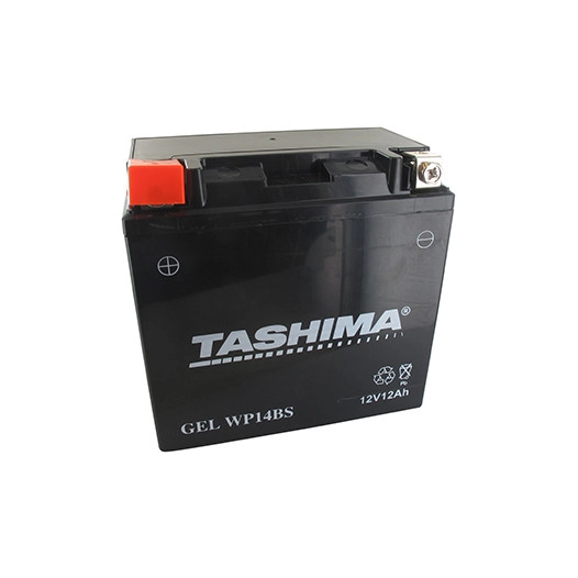 Batterie plomb étanche gel/agm 12V WP, 12A. L: 152, L: 88, H:147mm, + à gauche. - Batterie à mettre en acide avant d'être délivr