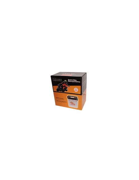 Batterie plomb étanche gel/agm 12V WP, 19A. L: 173, L: 100, H:173mm, + à droite. - Batterie à mettre en acide avant d'être déliv