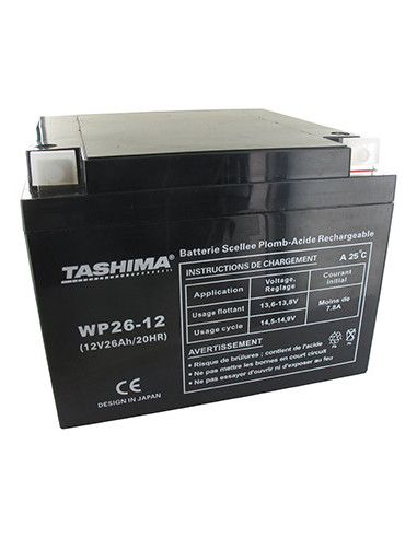 Batterie motoculture TASHIMA 12V, 26A adaptable pour SNAPPER. L: 165, L: 175, H: 125mm, + à droite. - Batterie à mettre en acide