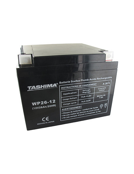 Batterie motoculture TASHIMA 12V, 26A adaptable pour SNAPPER. L: 165, L: 175, H: 125mm, + à droite. - Batterie à mettre en acide