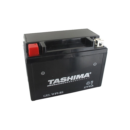 Batterie plomb étanche gel/agm 12V WP, 8A. L: 150, l: 86, H:105mm, + à gauche. - Batterie à mettre en acide avant d'être délivré