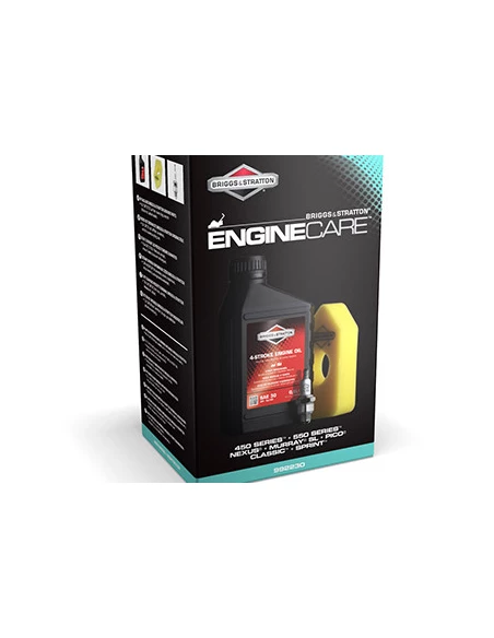 Kit D'entretien Pour Tondeuses Avec Moteurs Briggs & Stratton Séries 450, 550, Nexus, Murray Sl, Pico, Classic Et Sprint. Compos