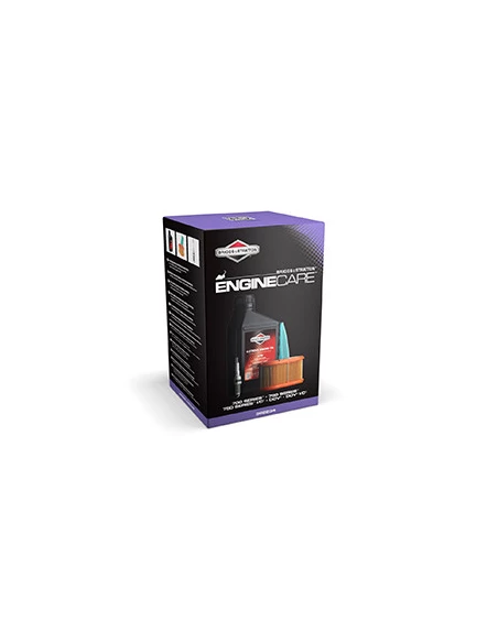 Kit D'entretien Pour Tondeuses Avec Moteurs Briggs & Stratton Séries 700, 750, 750 I/C, Dov, Dov I/C. Composé D'un Bidon D'huile