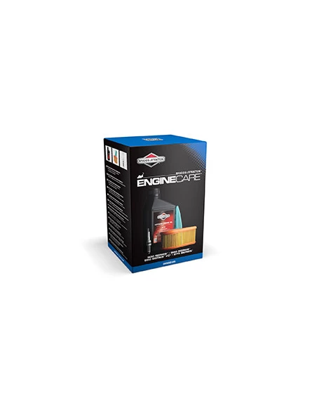 Kit D'entretien Pour Tondeuses Avec Moteurs Briggs & Stratton Séries 800e, 850, 850i/C, 875. Composé D'un Bidon D'huile De 0,6 L