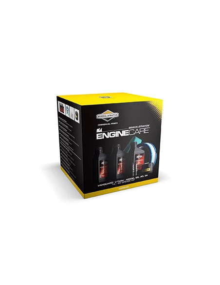 Kit D'entretien Pour Tondeuses Avec Moteurs Briggs & Stratton Modèles Vanguard V-Twin 29, 30, 35 De 14 À 20cv. Composé De Trois