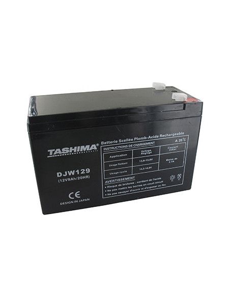 Batterie TASHIMA gel/agm 12V, 9 A adaptable pour CASTELGARDEN, FLYMO, ROVER STIGA et WOLF - L: 152, l: 65, H:95mm, 100% étanche.