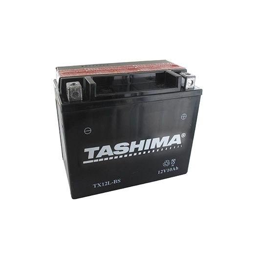 Batterie plomb étanche sans entretien 12V, 10A. L: 145, l: 87, H:130mm, + à droite. (livrée avec acide séparé). - Batterie à met