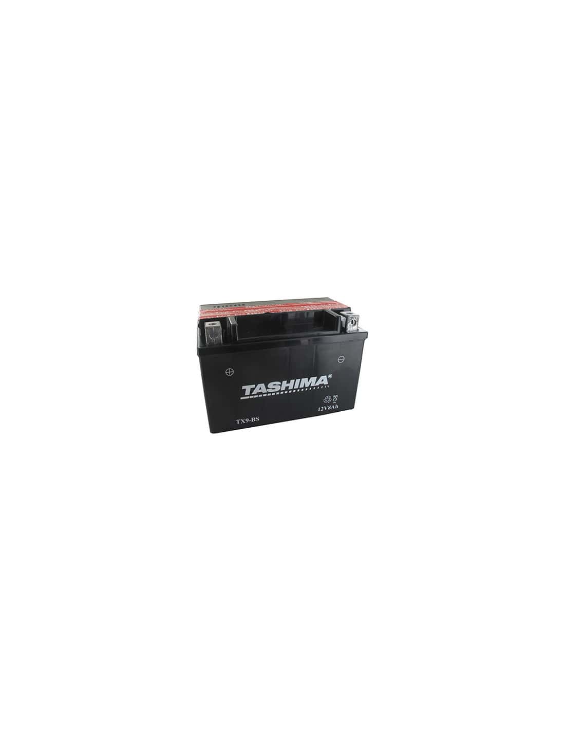 Batterie plomb étanche sans entretien 12V, 8A. L: 150, l: 87, H